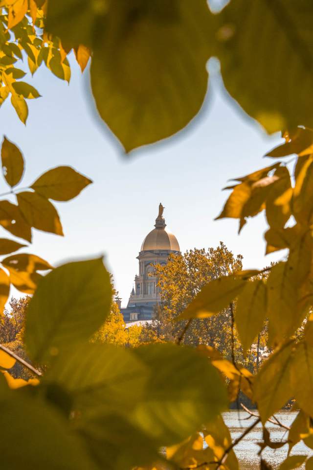 Fall at Notre Dame