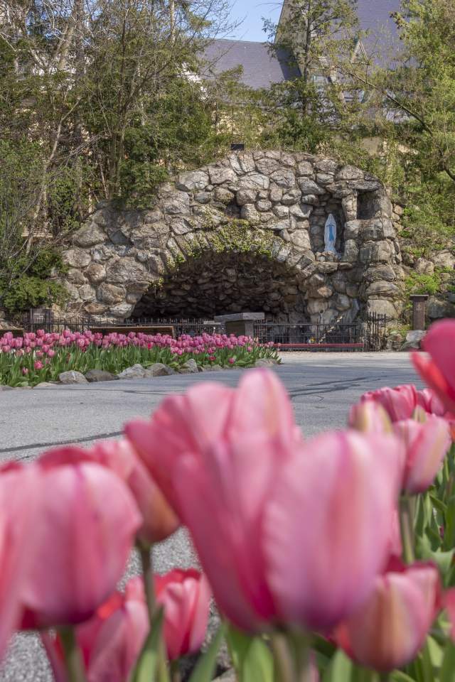 Spring time at The Grotto