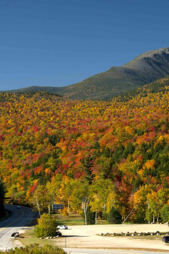 Mount Washington and Route 16 in Fall (Fall Foliage and Large Mountain in Background, Road in Foreground)