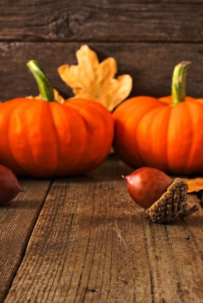 Thanksgiving