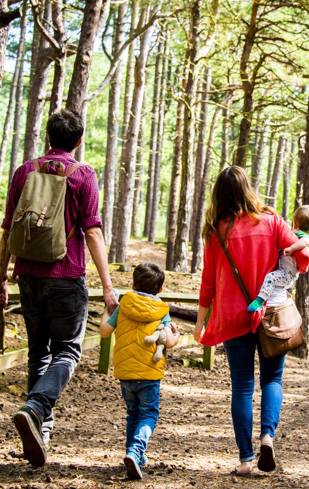 Family walking in Formby Woods