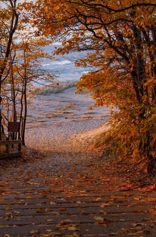 A leaf-strewn stone path winds through a tunnel of orange and gold autumn trees toward a quiet lake, creating a peaceful, inviting mood.
