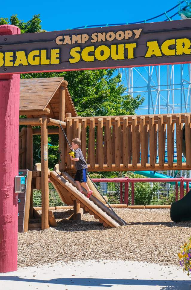Beagle Scout Acres