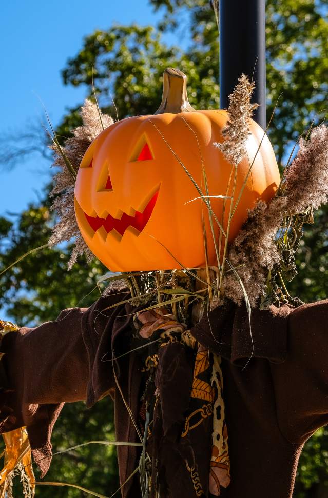 pumpkin head scarecrow with outstretched arms