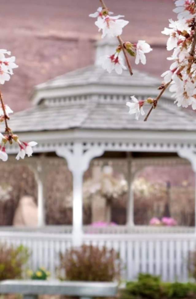 A white gazebo is framed by blooming tree branches with white flowers in the foreground, set in a tranquil garden with soft, warm tones.