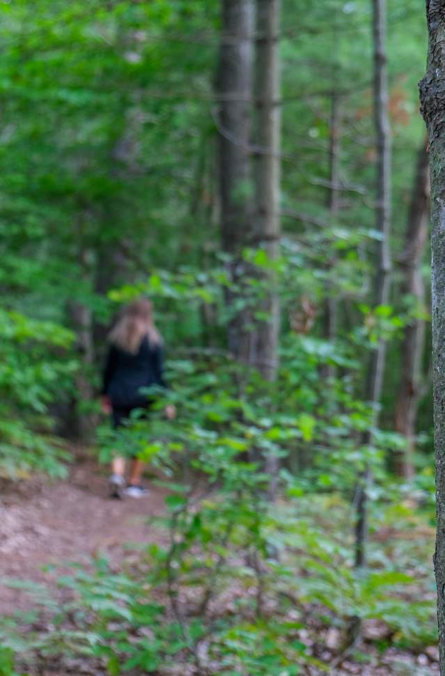 woman is in distance on wooded trail. in the foreground is a tree with a trail marker.
