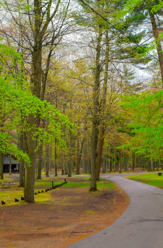 Scenic view of a winding pathway through a Pioneer Park in Muskegon County with vibrant green trees and a wooden lodge in the background.