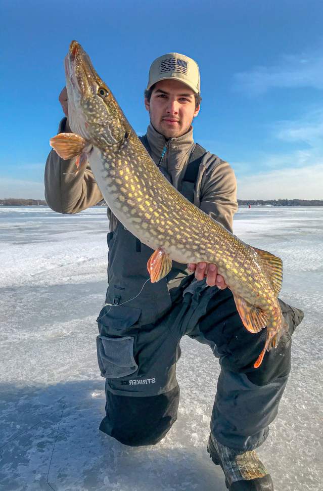 A person in winter attire holding a large Northern Pike while kneeling on a frozen Muskegon Lake.
