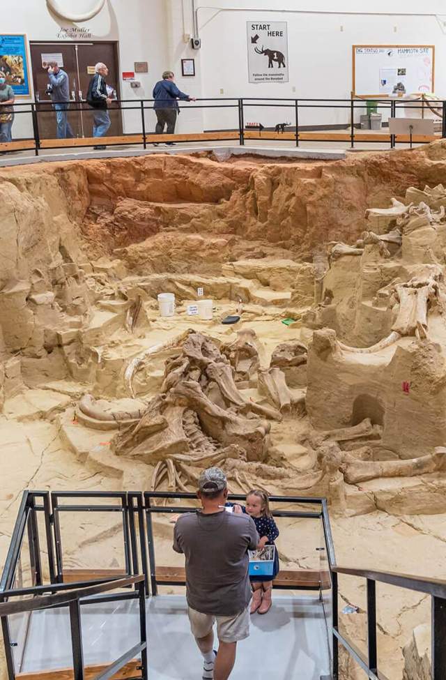 inside the active dig pit at the mammoth site of hot springs