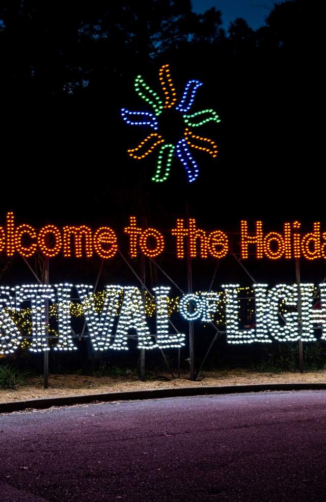 Holiday Festival of Lights