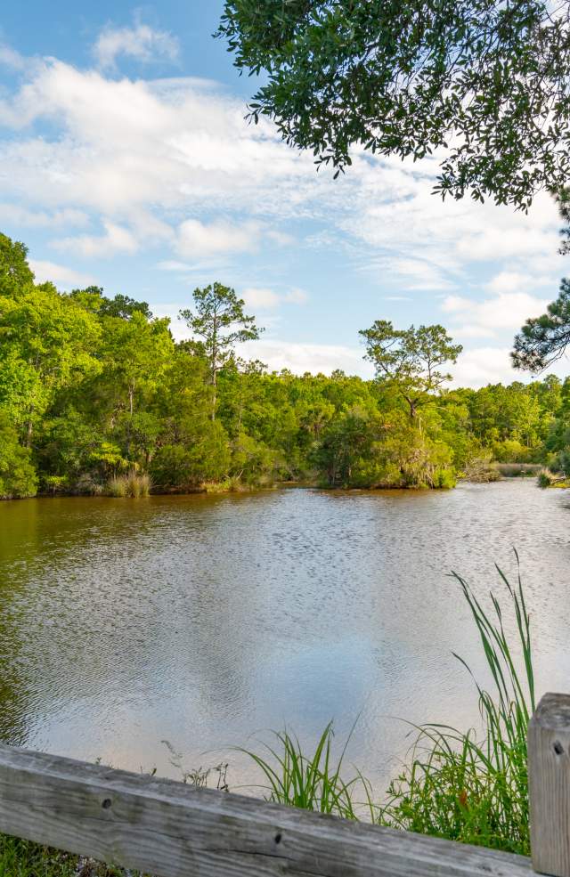 Laurel Hill County Park Rules