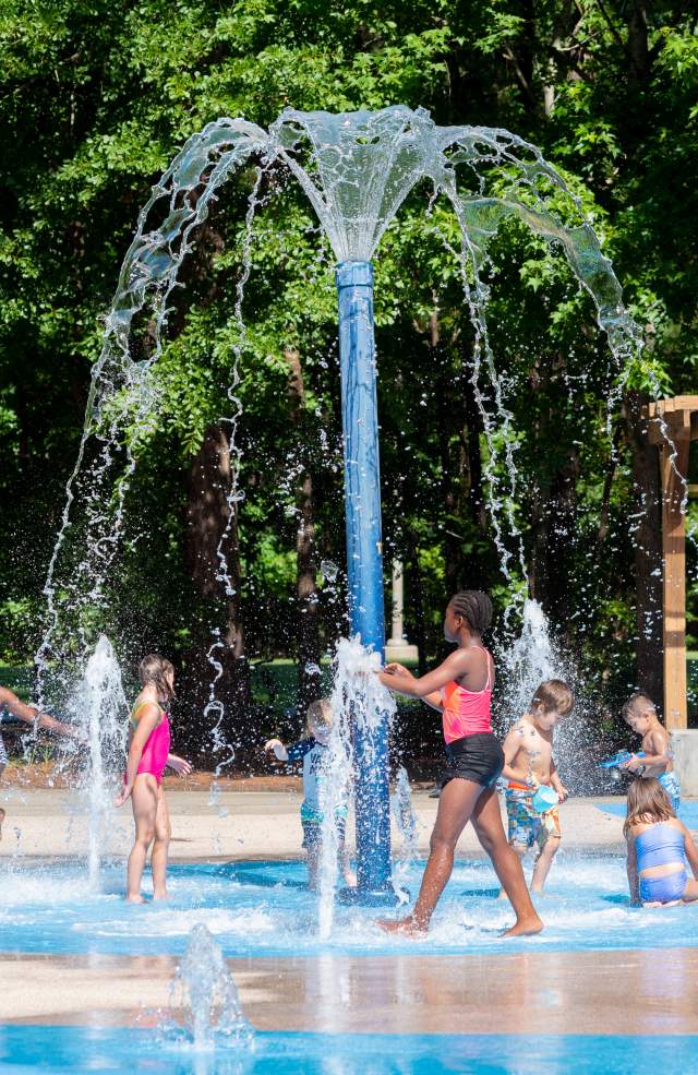 Foundation Field Trip