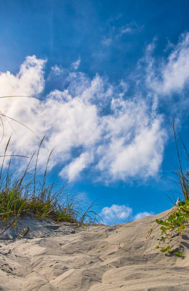 Lighthouse Inlet Heritage Preserve Rules