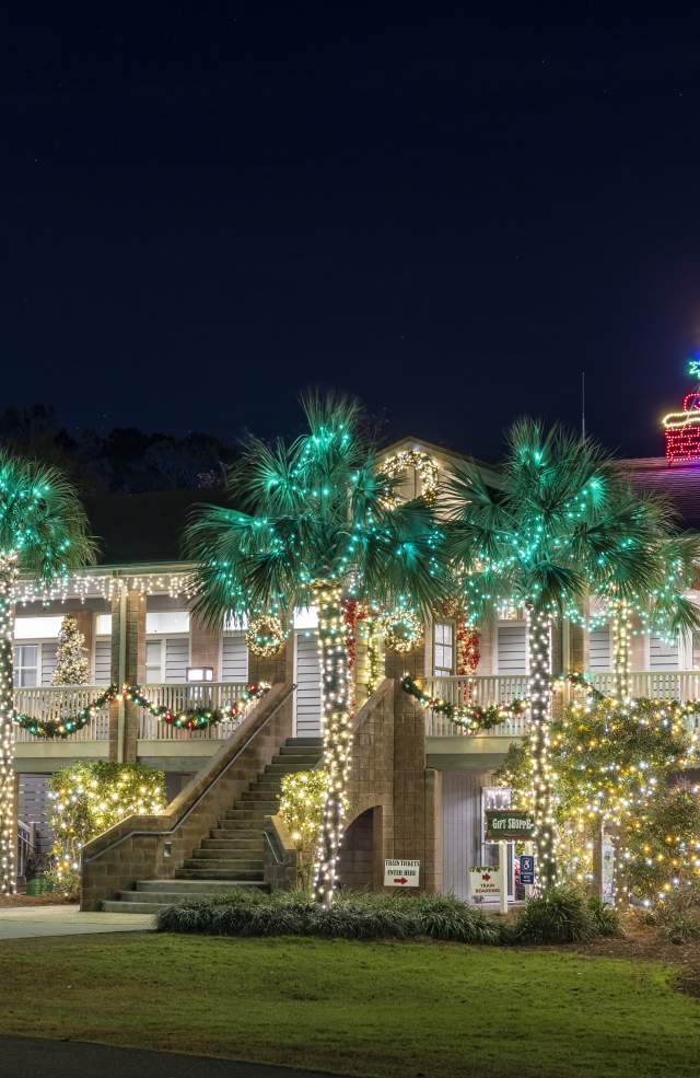 Holiday Festival of Lights