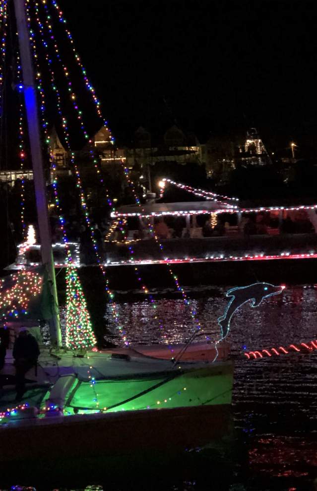 It's dark, but a sailboat is covered in Christmas lights and lights up against the dark water. There's a Christmas tree, string lights, and a dolphin.