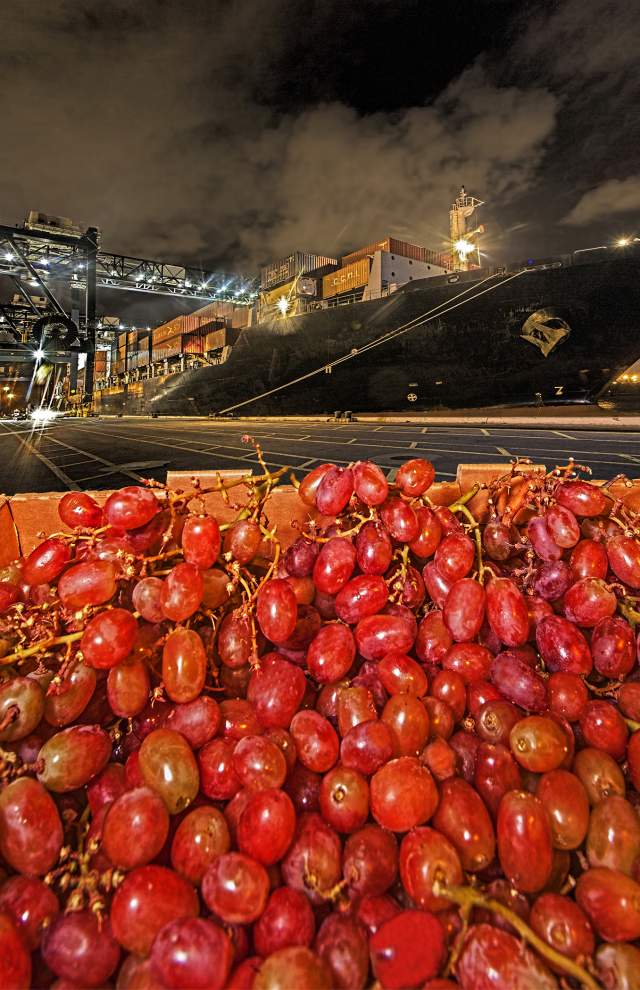 Port Everglades imports grapes from Chile