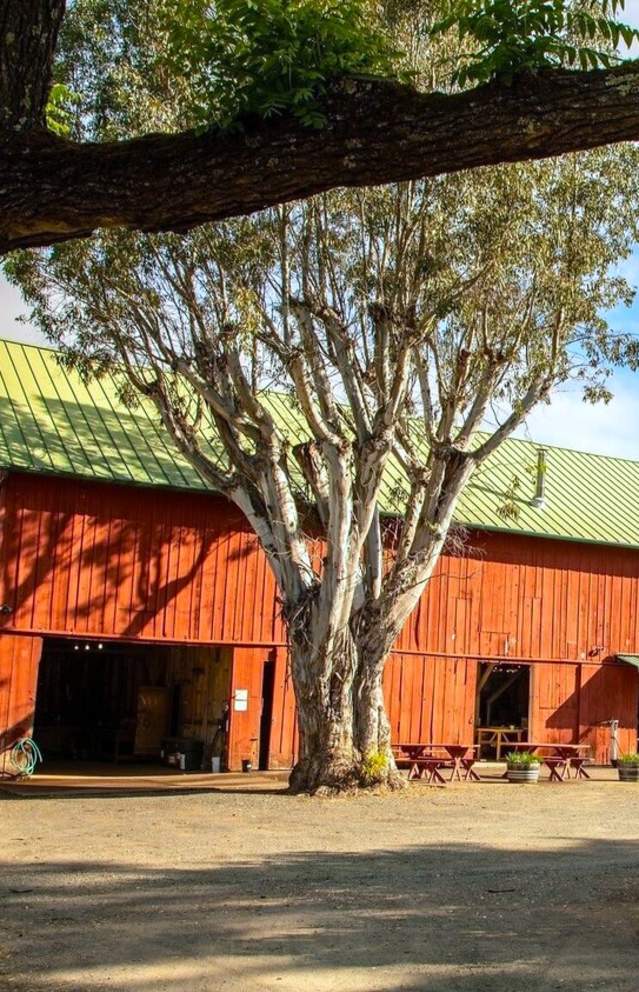 OakHillFarm_SonomaValley
