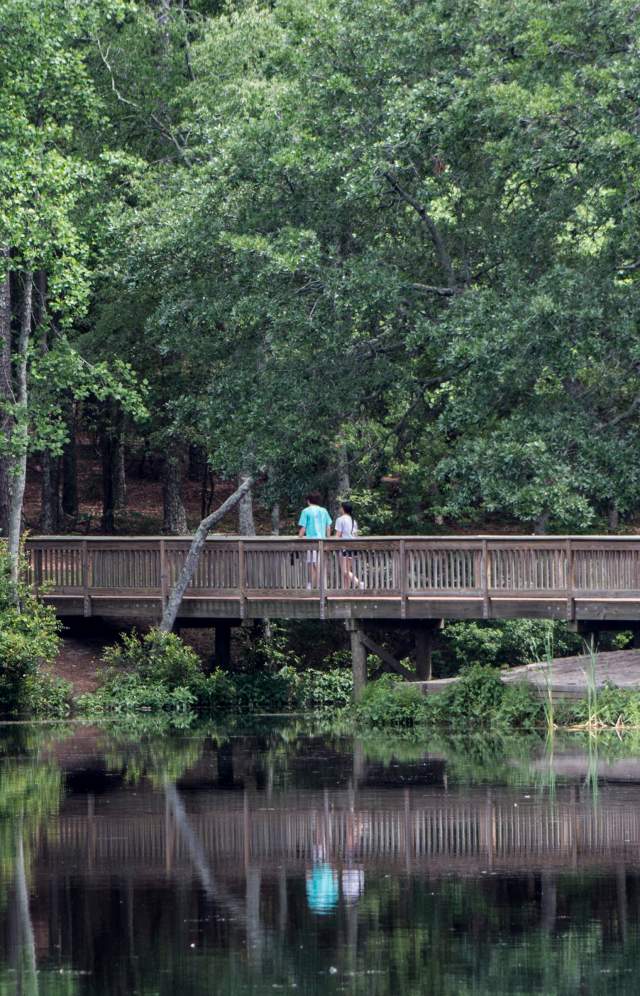 Walking path Sesqui Park