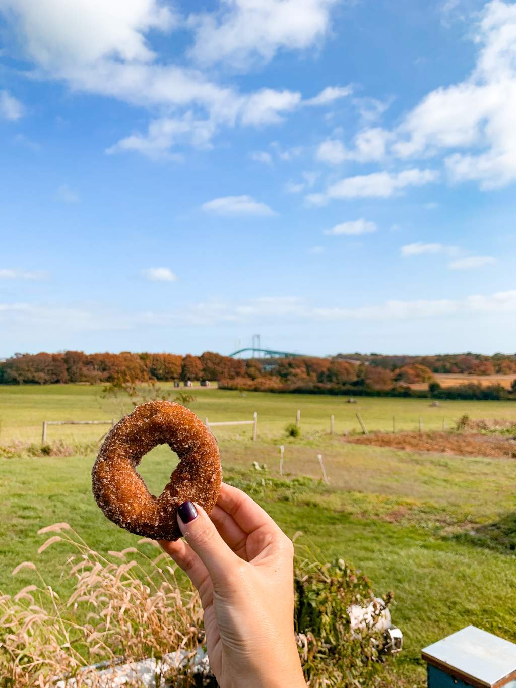 15 Apple Cider Bar Ideas for Your Fall Wedding