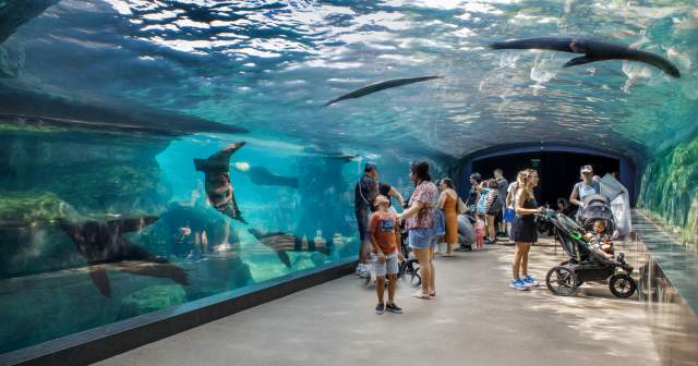 Houston Zoo
