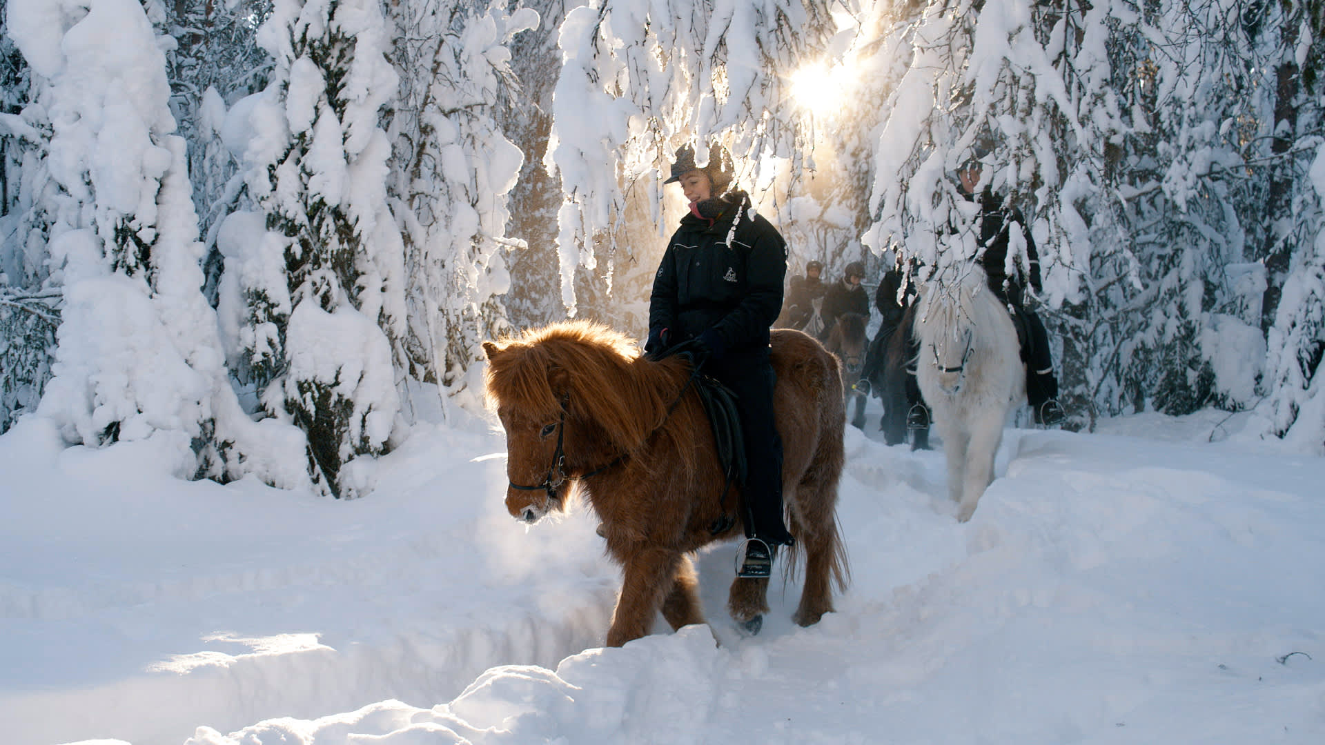 Workation and horseback riding at Mesna