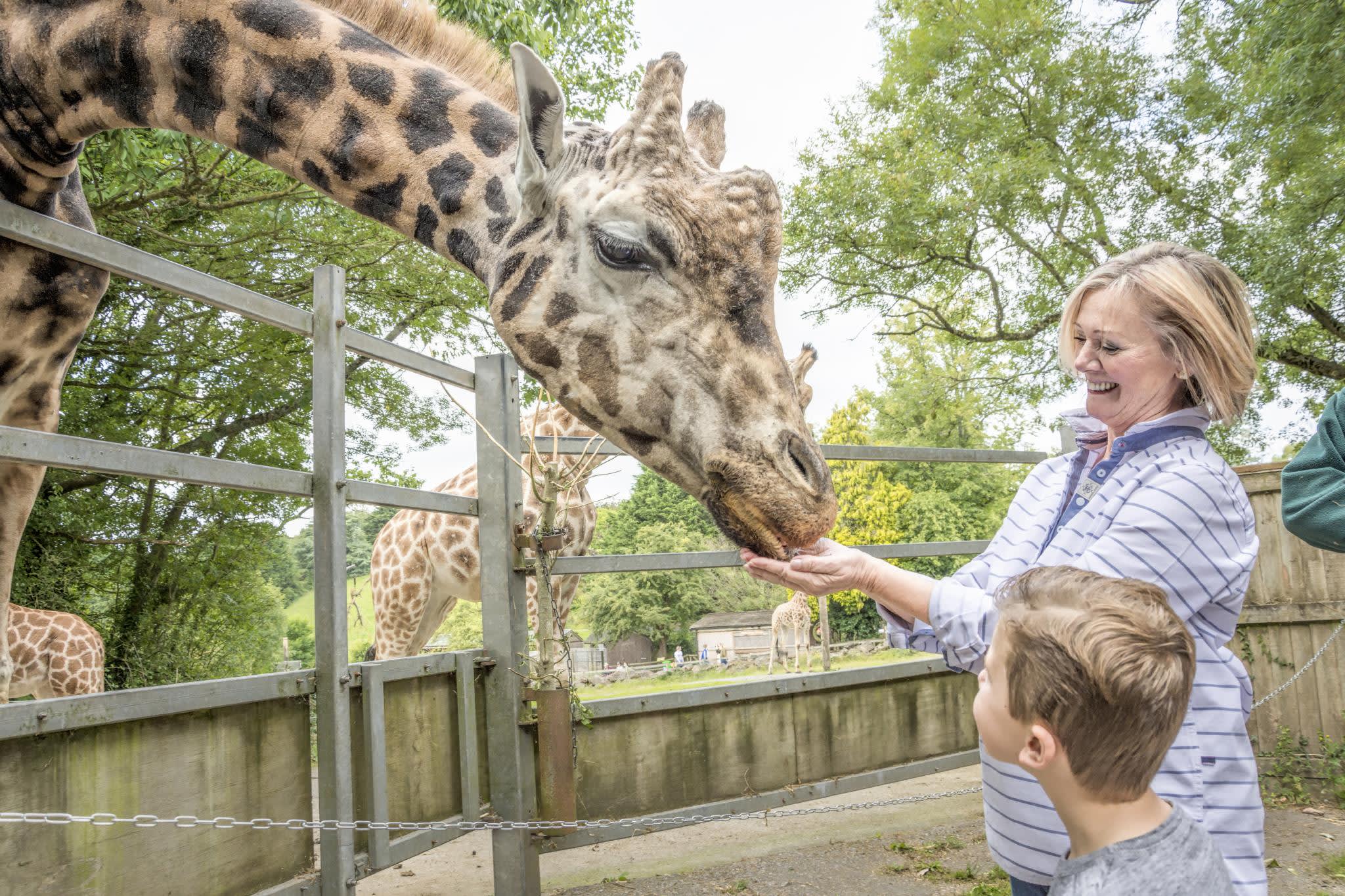 Attractions in Devon