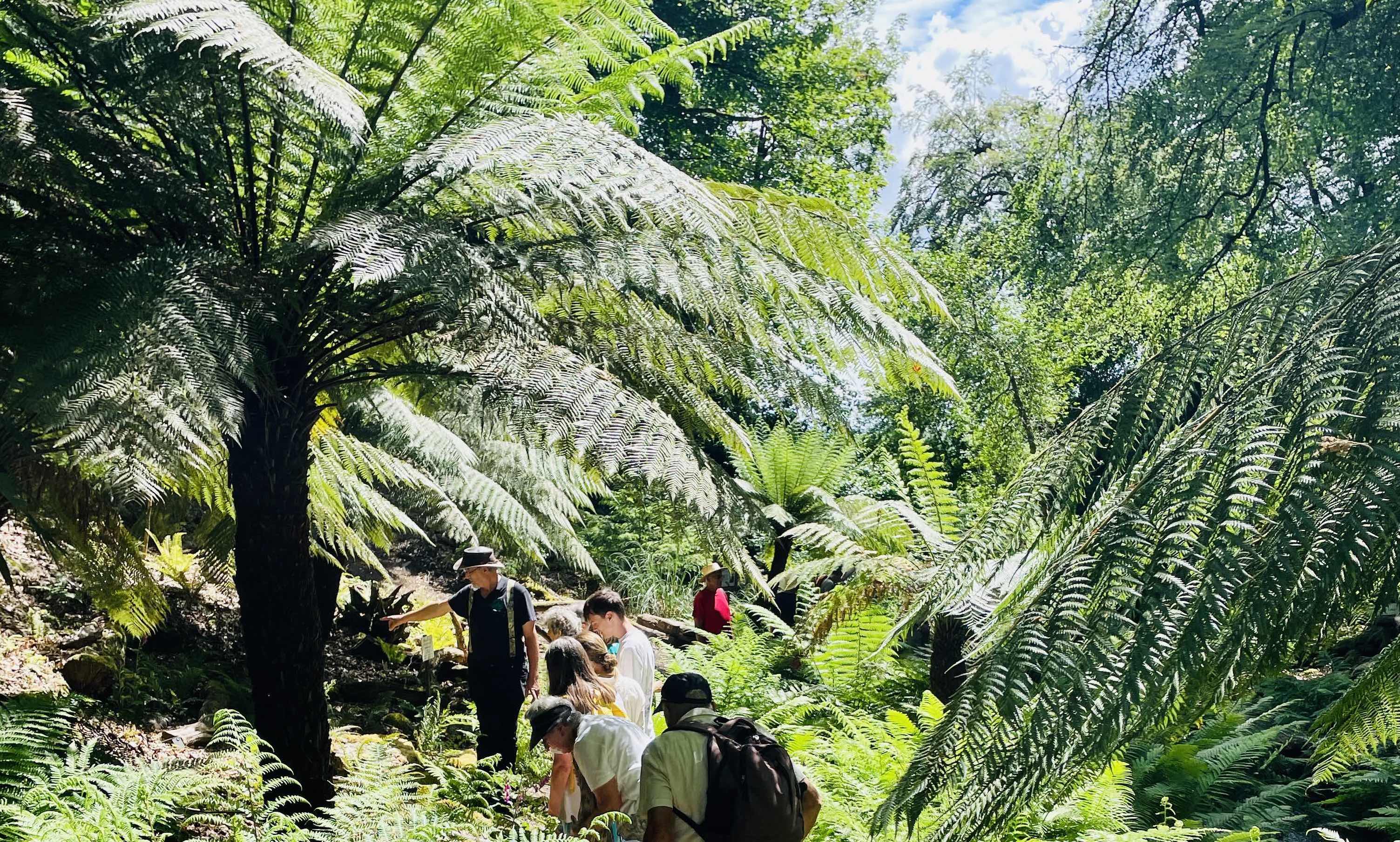 Canonteign Falls Awarded RHS Partner Garden Status