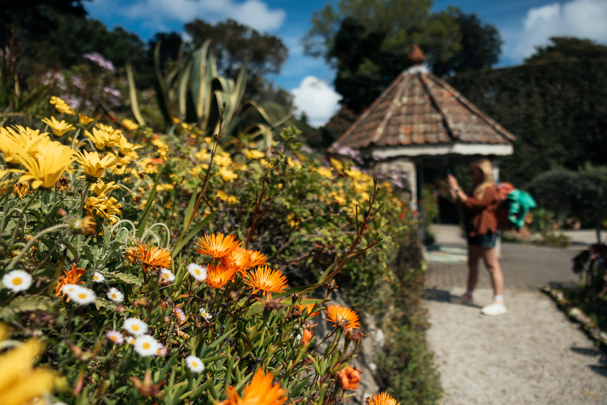 Aisles of flowers in front of the gazebo at Tresco Abbey Garden