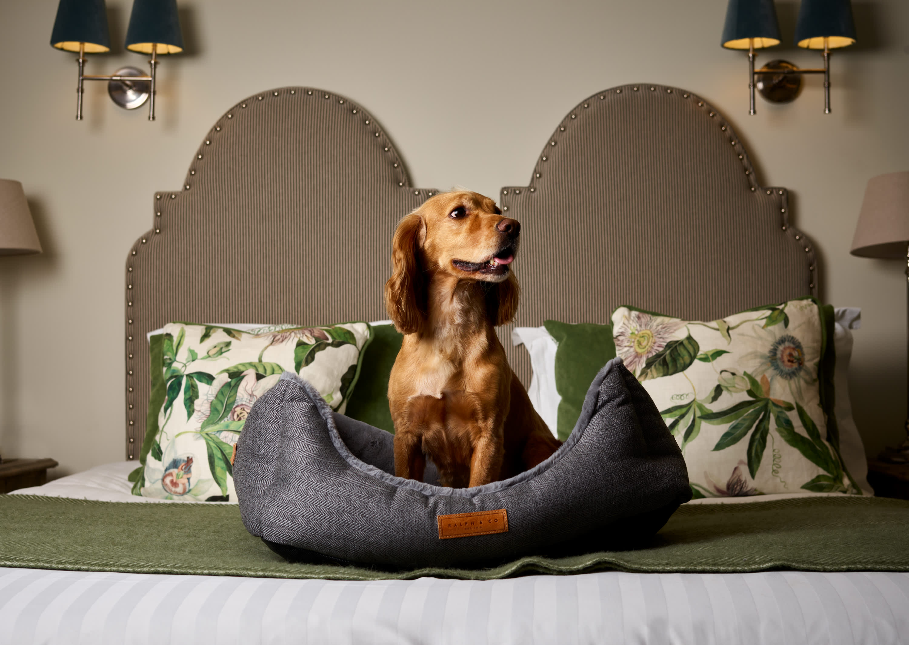 Montagu Arms - Dog Friendly (3)