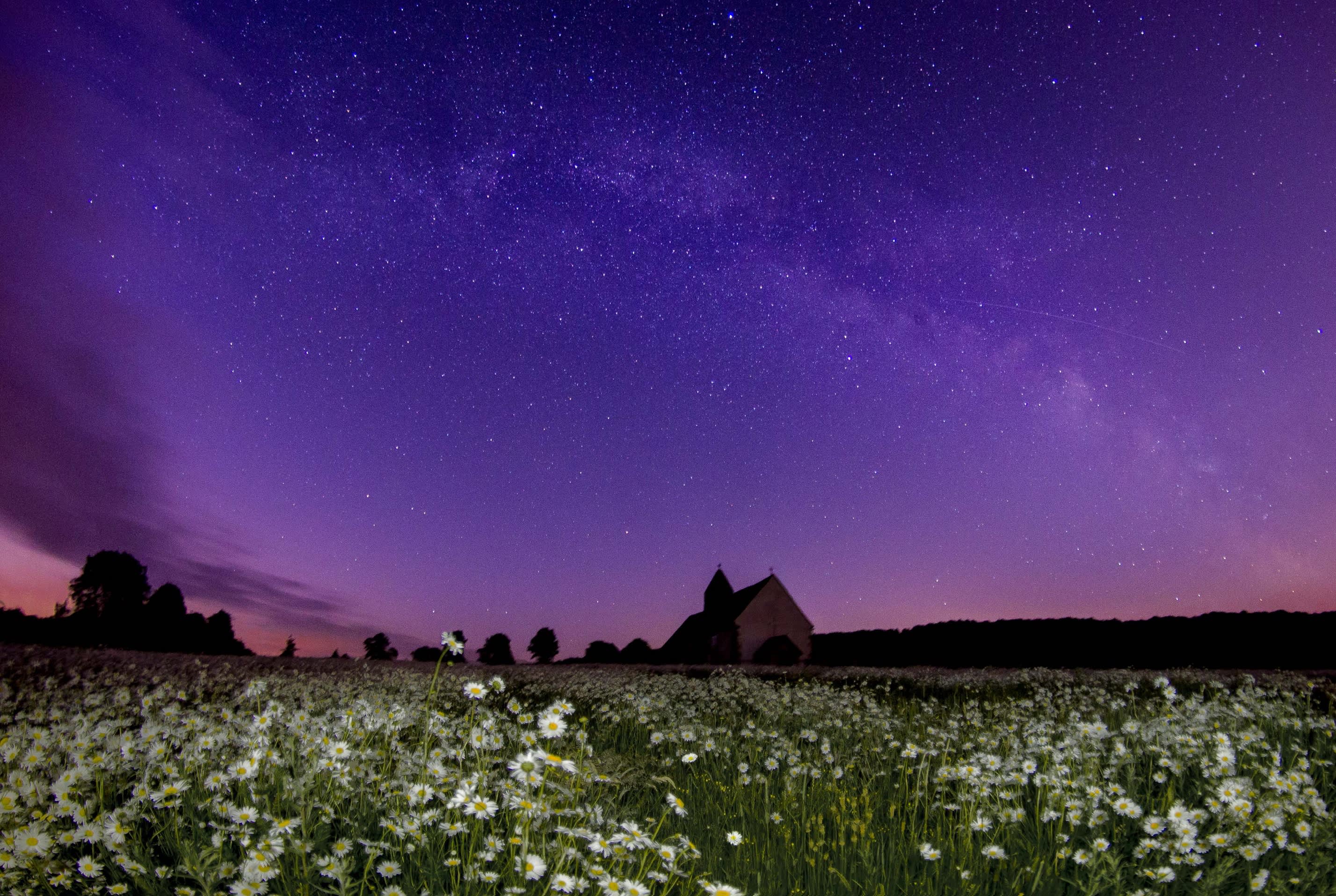 Inky blue and red night sky with white flowers in foreground, South Downs National Park in Sussex