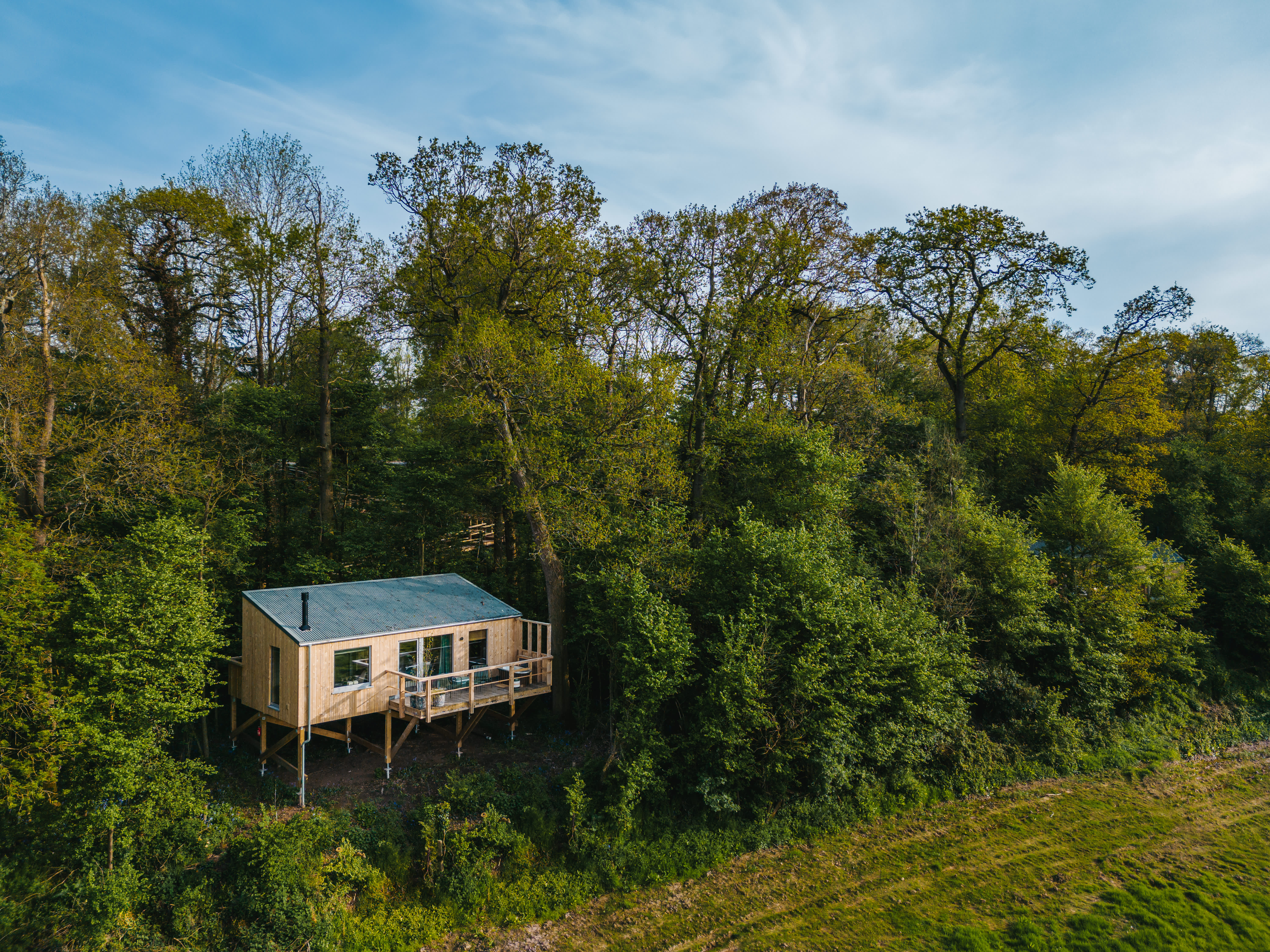 Elmore Court treehouse in a wood clearing