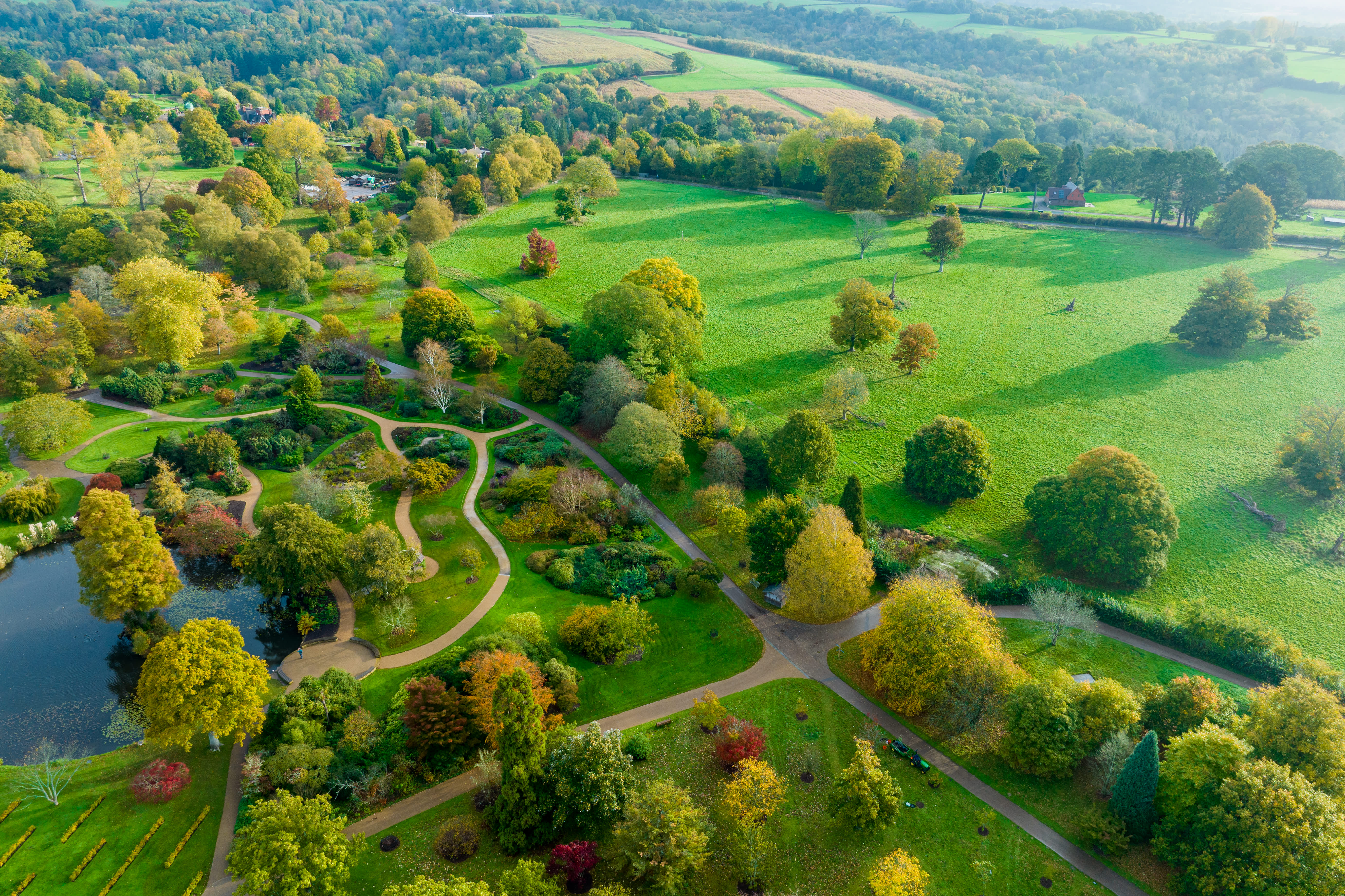 Aerial view of trees, gardens and paths at the Asian garden at Wakehurst, Sussex
