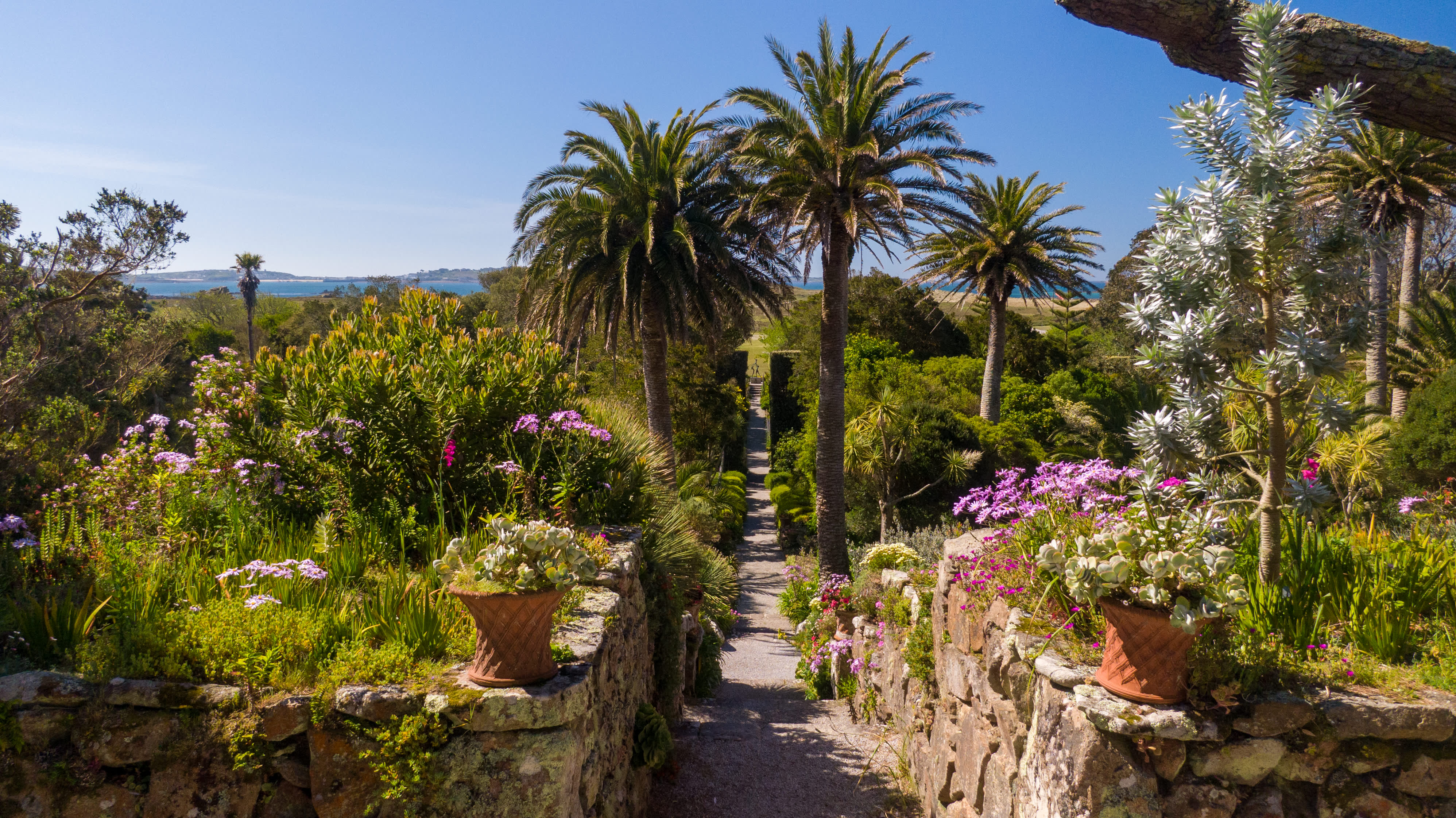 Tresco Abbey Garden