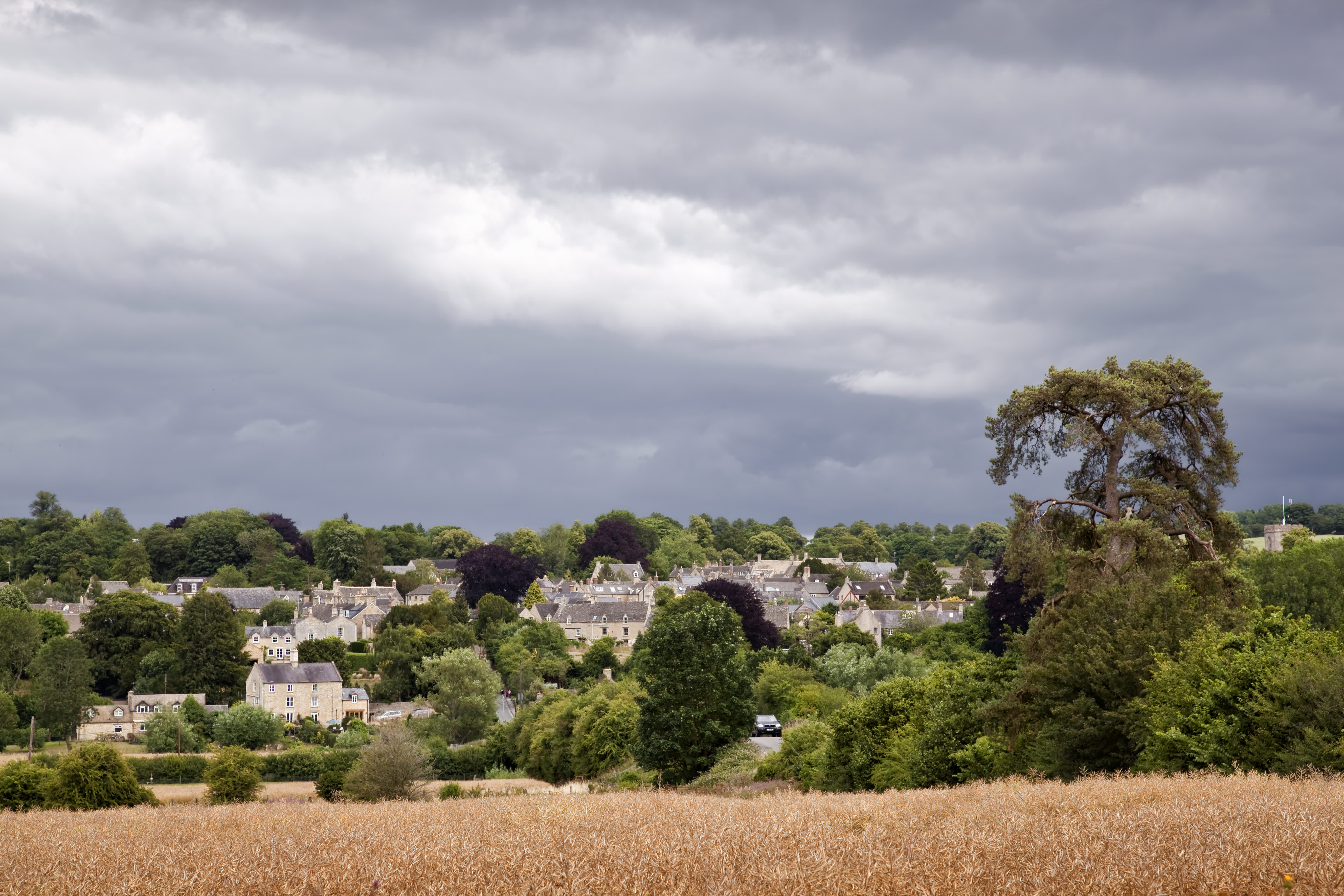 View across a corn field towards Charlbury