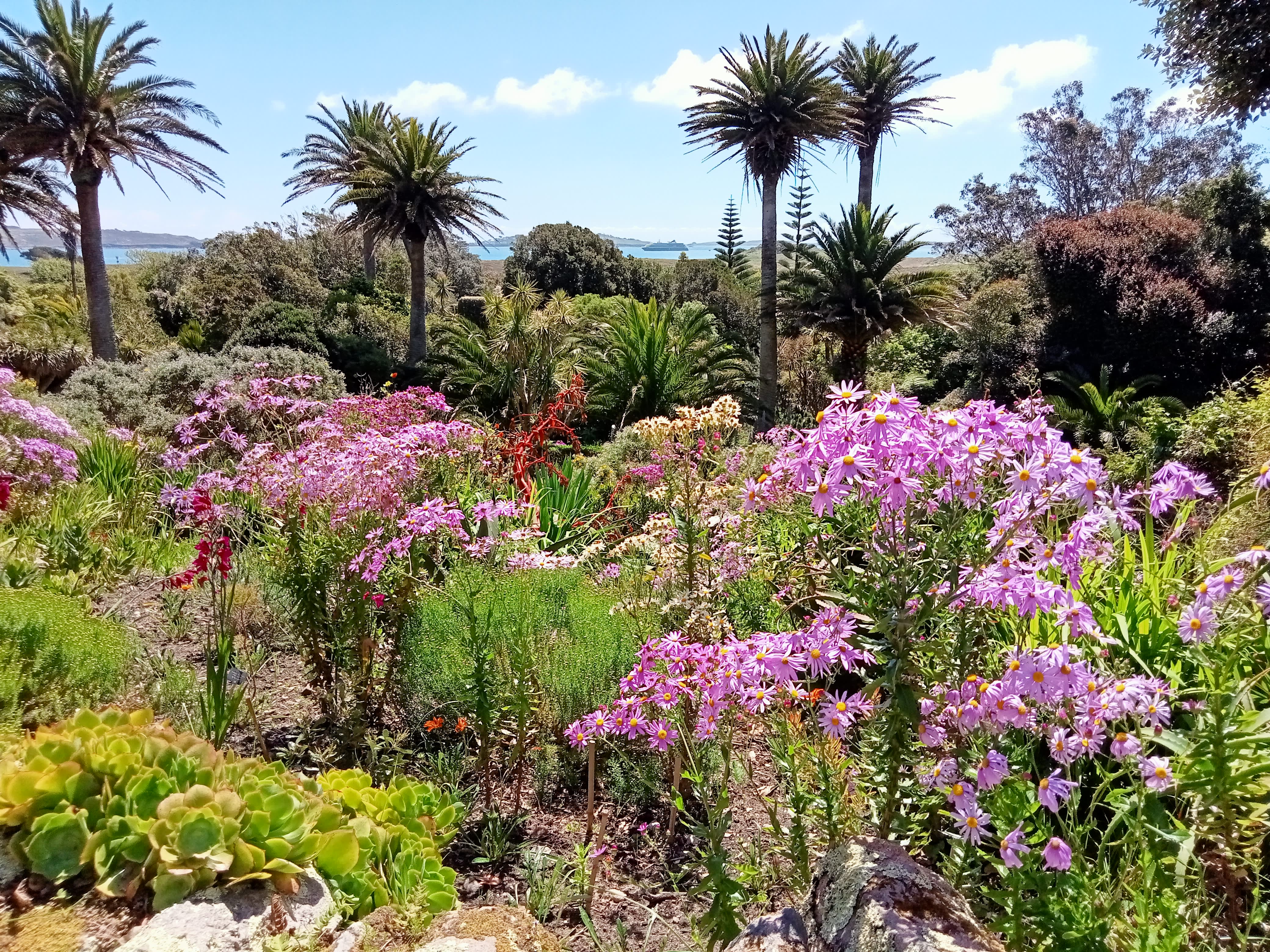 Tresco Abbey Garden