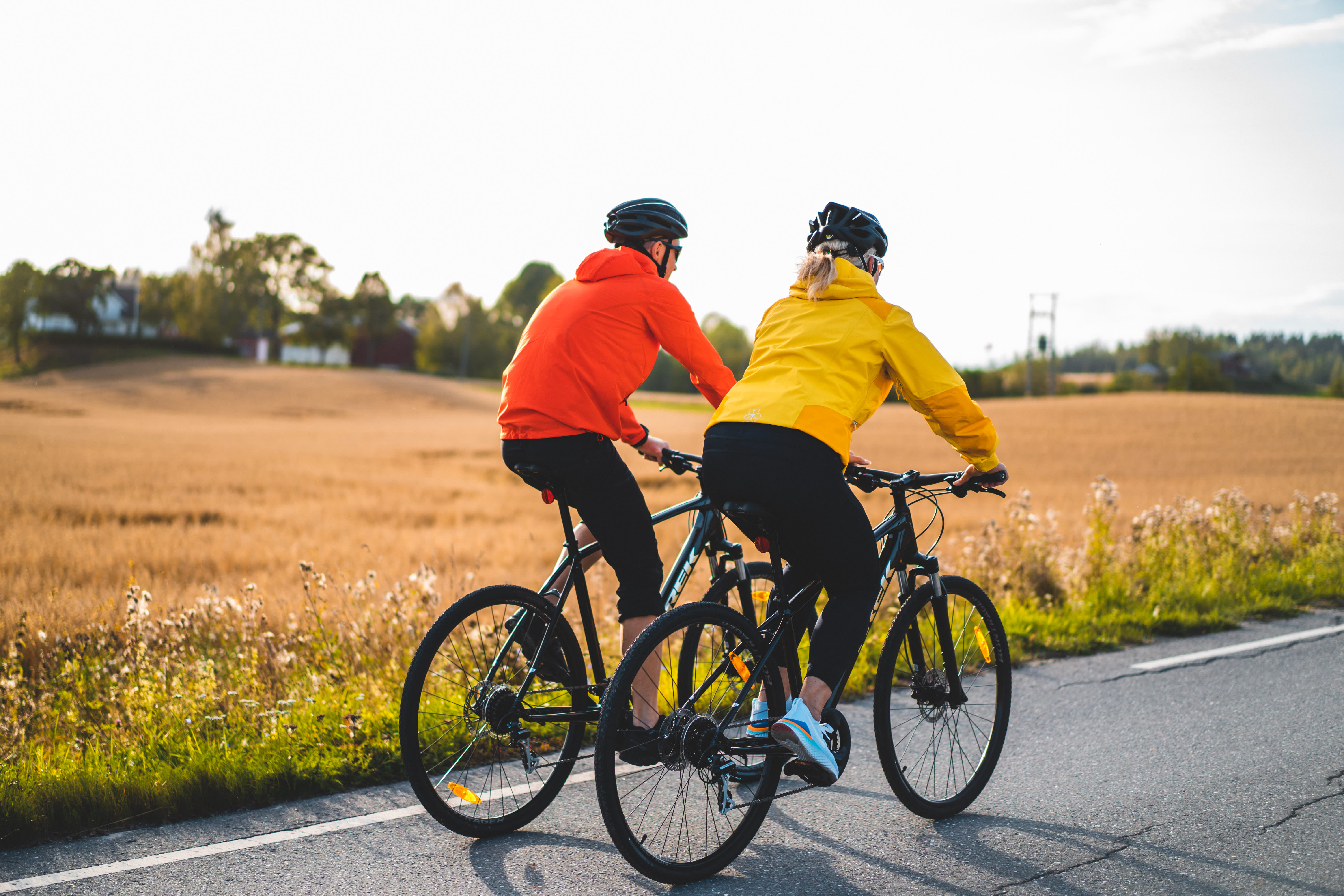 Two cycling along a cornfield