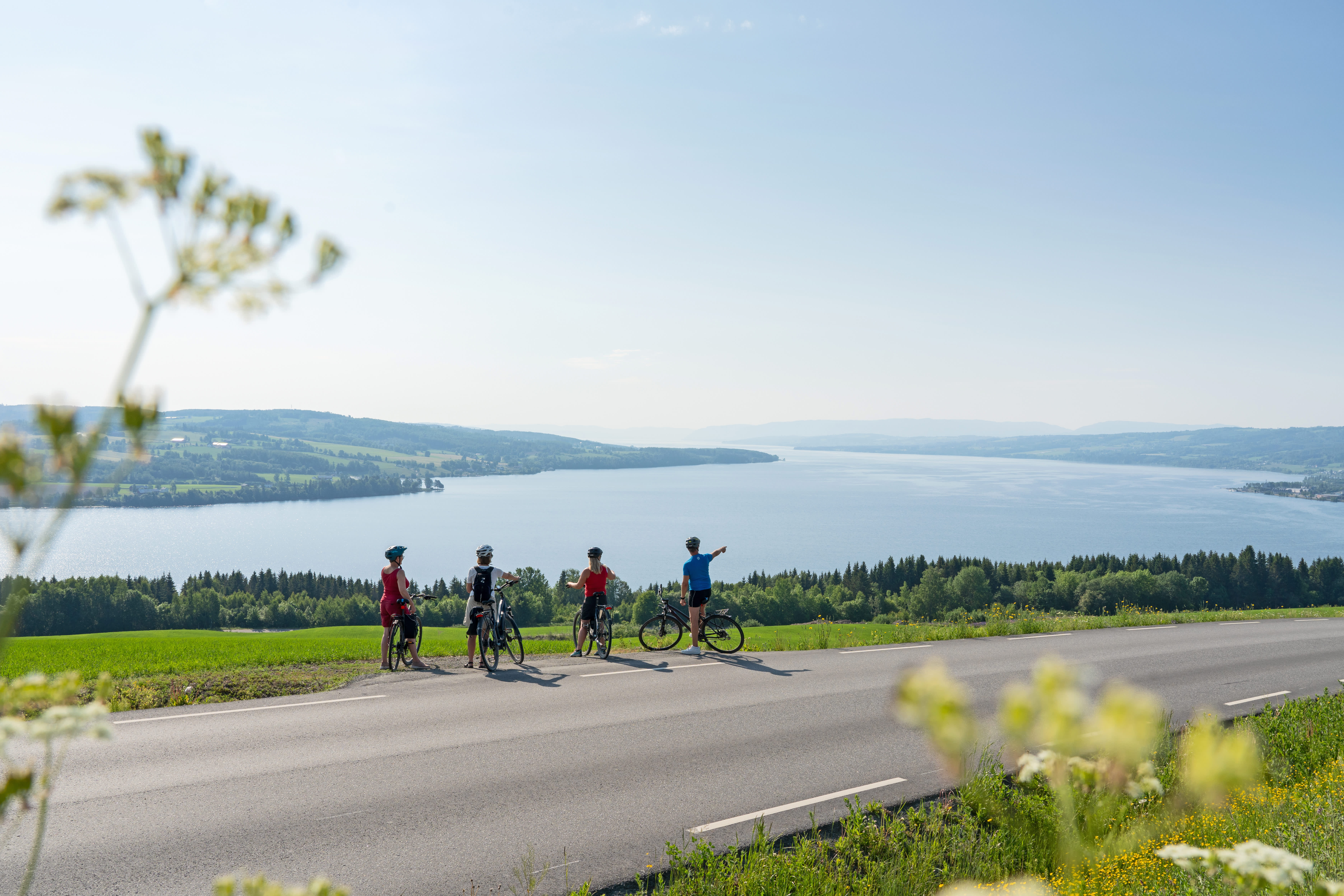 Utsikt over Mjøsa langs sykkelruta Mjøstråkk