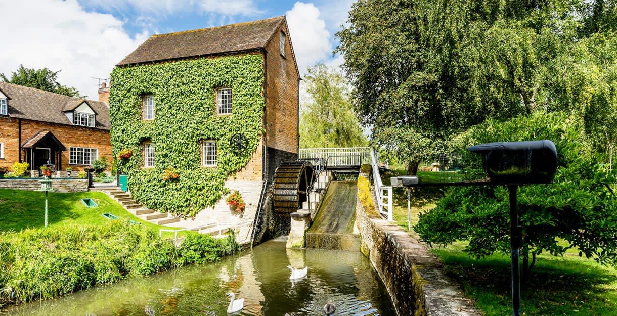 Swans swim next to a water mill covered in ivy at Grafton Mill, part of Sykes Cottages in the Cotswolds