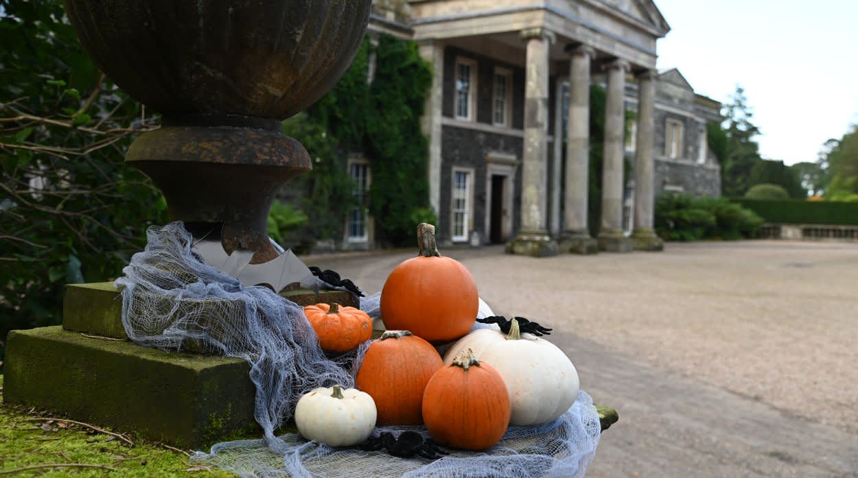 Halloween Mount Stewart
