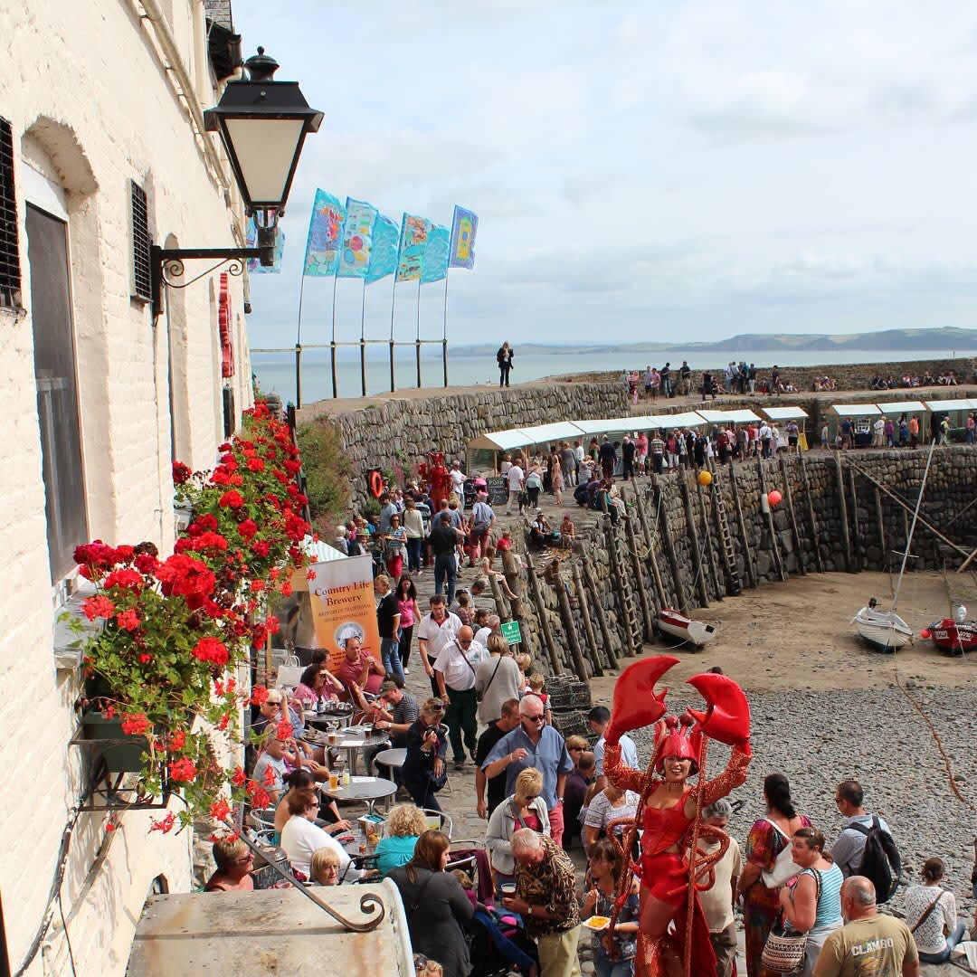 North devon Whats On