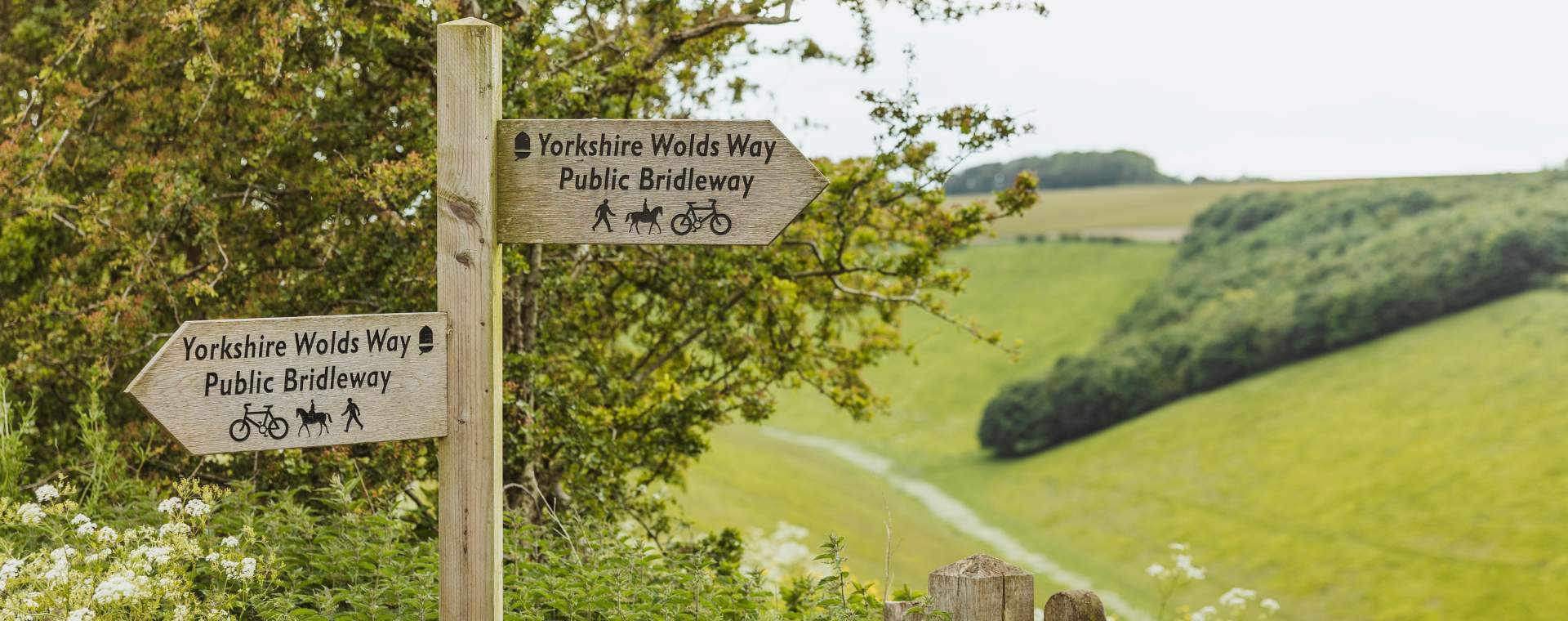 Yorkshire wolds way fingerposts pointing left and right with the green valley in the background.
