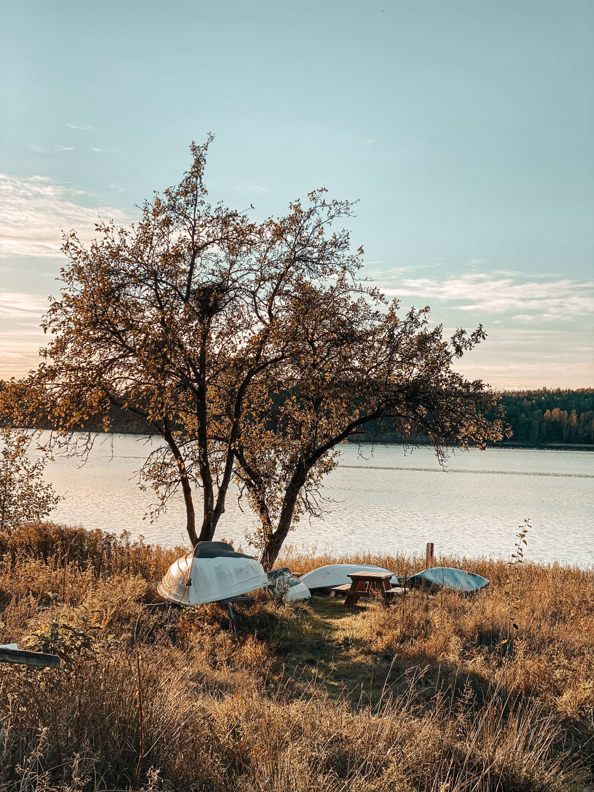Små båter som ligger med bauen opp på land. Foto.