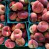 Great Country Farms Peaches