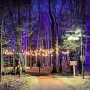 Winter Wonders: Our Top Ten Posts of 2025