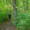 Five Nature Preserves to Explore in Muskegon County