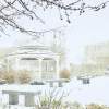 Top Ten Winter Instagrams of 2023