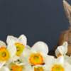 Easter Is On Its Way
