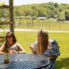 Sip Your Way through West Michigan’s Wine Country