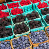 Explore the Best Farmers Markets & U-Pick Orchards Across West Michigan