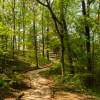 Hit the Trails: Hike, Bike & Paddle Across West Michigan